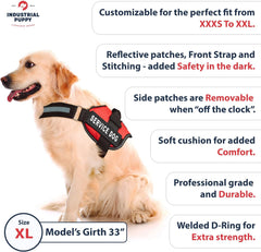 Service Dog Vest with Hook and Loop Straps & Matching Service Dog Leash Set - Harnesses from XXS to XXL - Service Dog Harness Features Reflective Patch and Comfortable Mesh Design (Pink, XL)