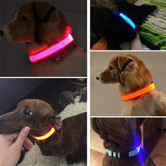 LED Adjustable Dog Collar Blinking Flashing Light Up Glow Pets Safety Waterproof - Shop Rite Pro