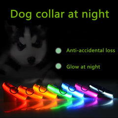 LED Adjustable Dog Collar Blinking Flashing Light Up Glow Pets Safety Waterproof - Shop Rite Pro