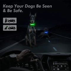 LED Adjustable Dog Collar Blinking Flashing Light Up Glow Pets Safety Waterproof - Shop Rite Pro