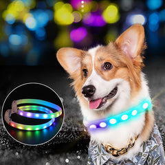 Pet Dog Collar Night Safety Flashing Glow - Shop Rite Pro