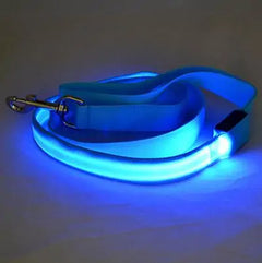 Glow In Dark Dog Leash