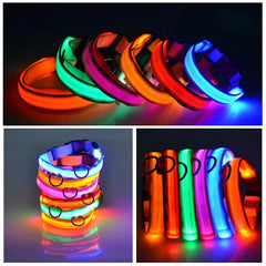 LED Adjustable Dog Collar Blinking Flashing Light Up Glow Pets Safety Waterproof - Shop Rite Pro