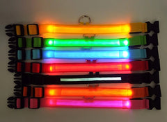 LED Adjustable Dog Collar Blinking Flashing Light Up Glow Pets Safety Waterproof - Shop Rite Pro