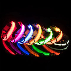 LED Adjustable Dog Collar Blinking Flashing Light Up Glow Pets Safety Waterproof - Shop Rite Pro