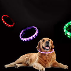 Pet Dog Collar Night Safety Flashing Glow - Shop Rite Pro