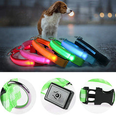 LED Adjustable Dog Collar Blinking Flashing Light Up Glow Pets Safety Waterproof - Shop Rite Pro