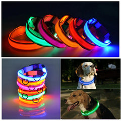 LED Adjustable Dog Collar Blinking Flashing Light Up Glow Pets Safety Waterproof - Shop Rite Pro