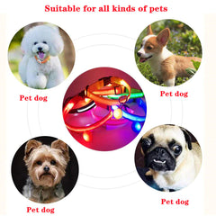 LED Adjustable Dog Collar Blinking Flashing Light Up Glow Pets Safety Waterproof - Shop Rite Pro