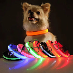 LED Adjustable Dog Collar Blinking Flashing Light Up Glow Pets Safety Waterproof - Shop Rite Pro