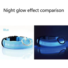 LED Adjustable Dog Collar Blinking Flashing Light Up Glow Pets Safety Waterproof - Shop Rite Pro